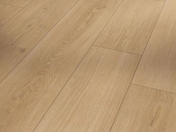 Trendtime 6 4V Oak Studioline Honing